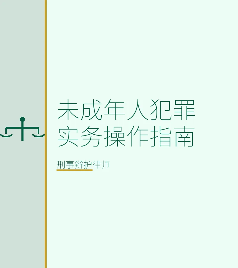 未成年人犯罪实务操作指南